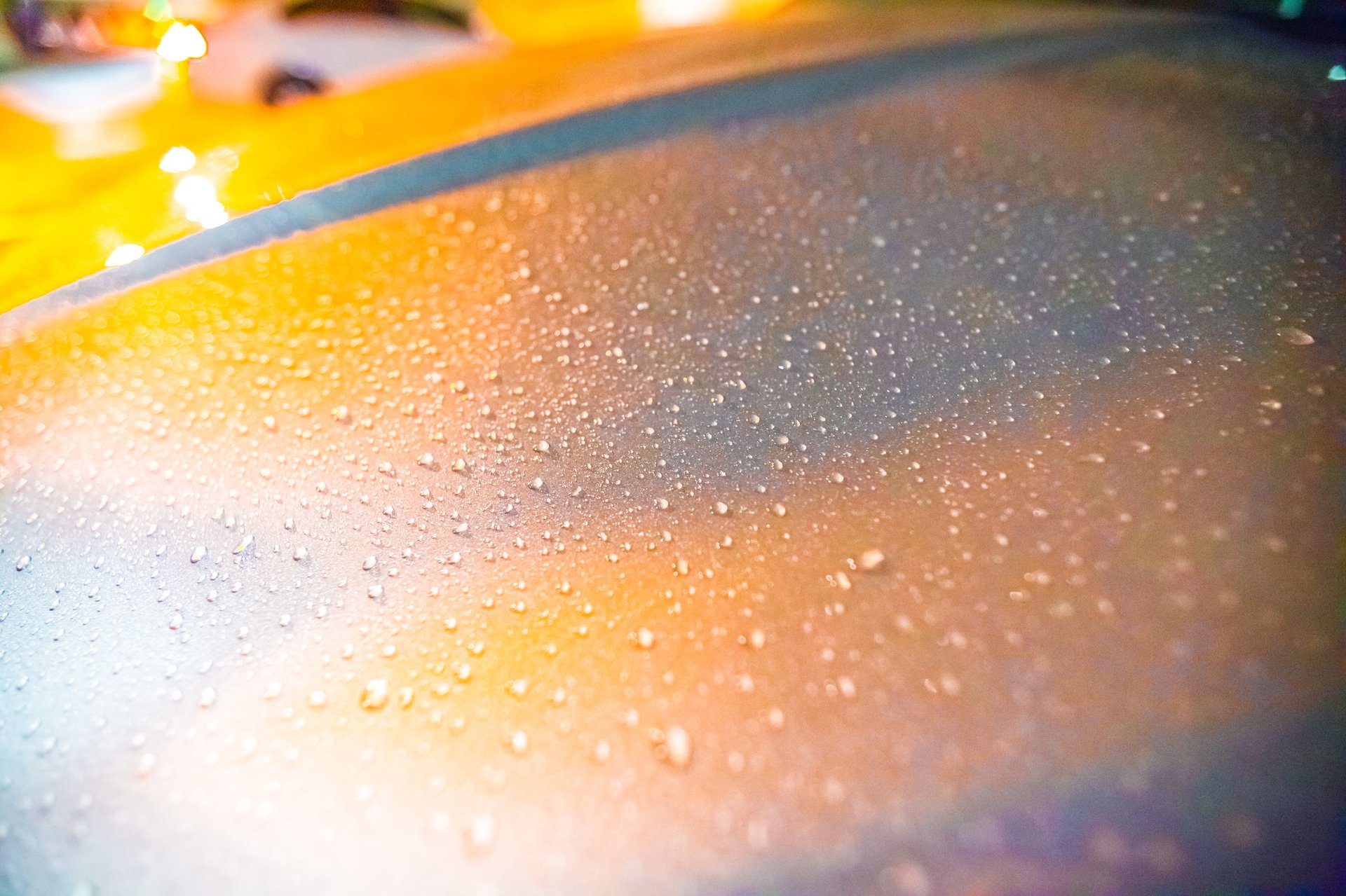 Water droplets beading on a freshly detailed vehicle surface